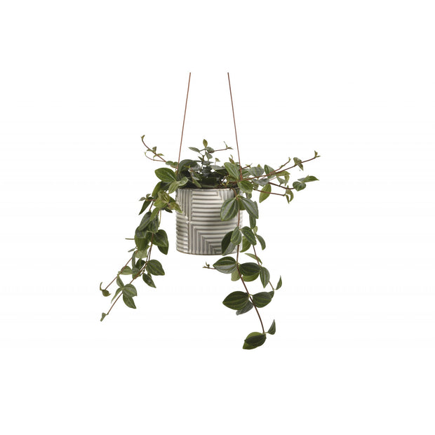 Modena Ceramic Hanging Pot with plant