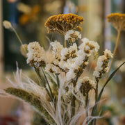 Dried Yellow Achillea Parker Flowers - From Victoria Shop