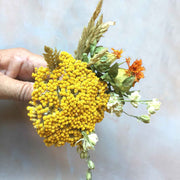 Dried Yellow Achillea Parker Flowers - From Victoria Shop