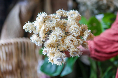 5 Ways to Display Dried Flowers