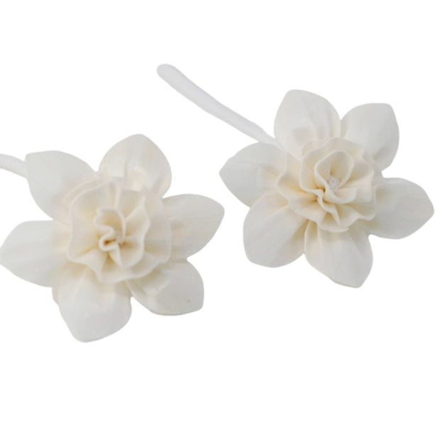 Natural Diffuser Flowers - Large Lily On String