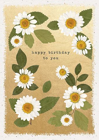 'Happy Birthday To You' Pressed Daisies Greeting Card