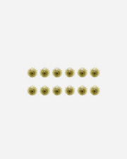 Gold Paper fans - set of 12