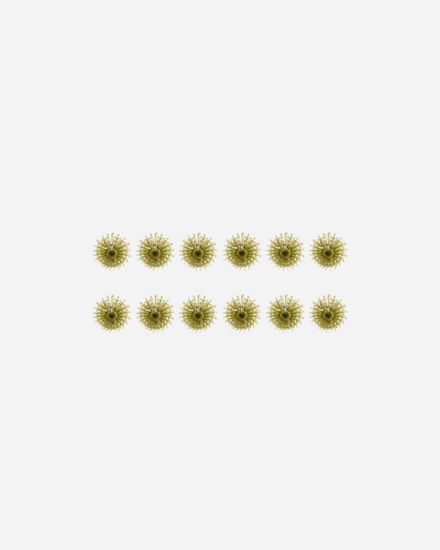 Gold Paper fans - set of 12