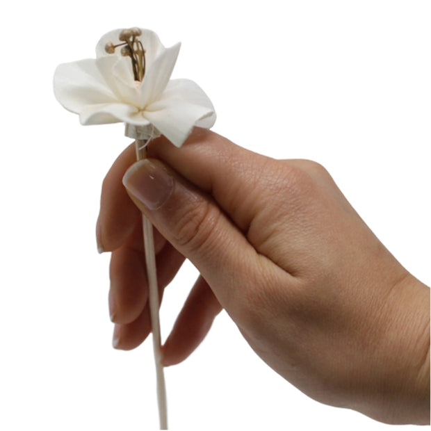 Natural Diffuser Flowers - Lily On Reed Stick