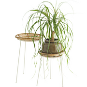 Bamboo Plant Stands