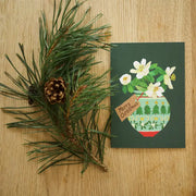 Christmas Hellebores Greetings Card