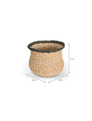 measurements of Hayward Fluted Pot Seagrass Rosemary