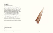 The Shell Spotter's Guide