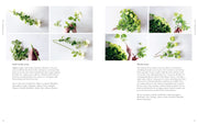 pages from The Flower School book