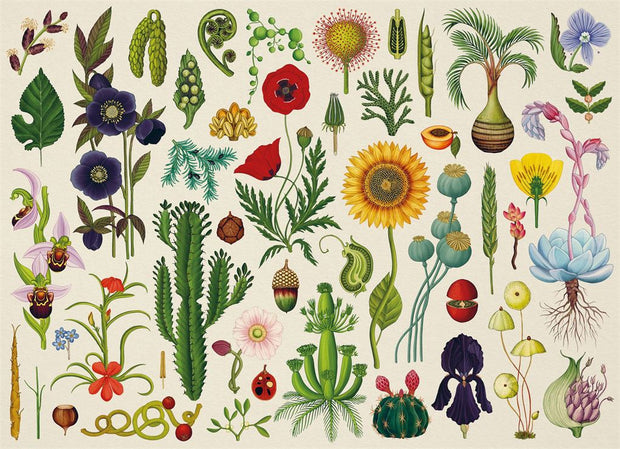 Botanicum - 1000 Piece Jigsaw Puzzle