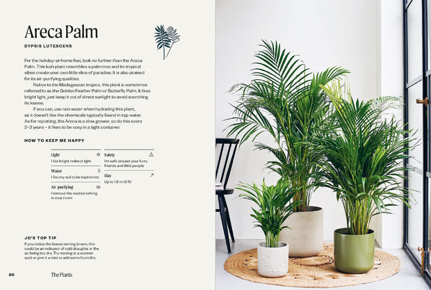 pages from 40 Resilient Houseplants - Unkillables book