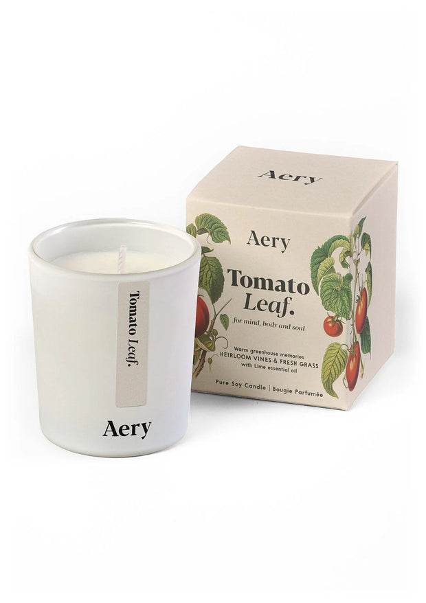 Aery Tomato Leaf candle and packaging on a white background