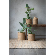 Belle Green & Natural Plant Pots