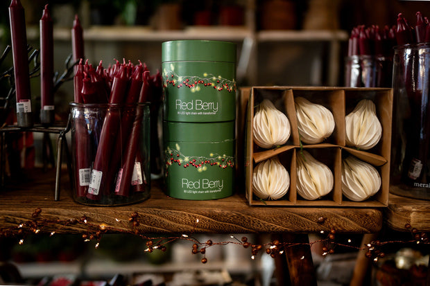 Red Berry mains Powered String Lights