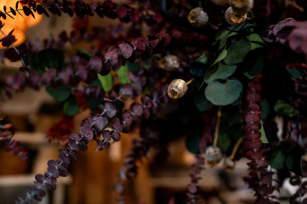 Preserved Burgundy Eucalyptus used in dried flower display at From Victoria Shop