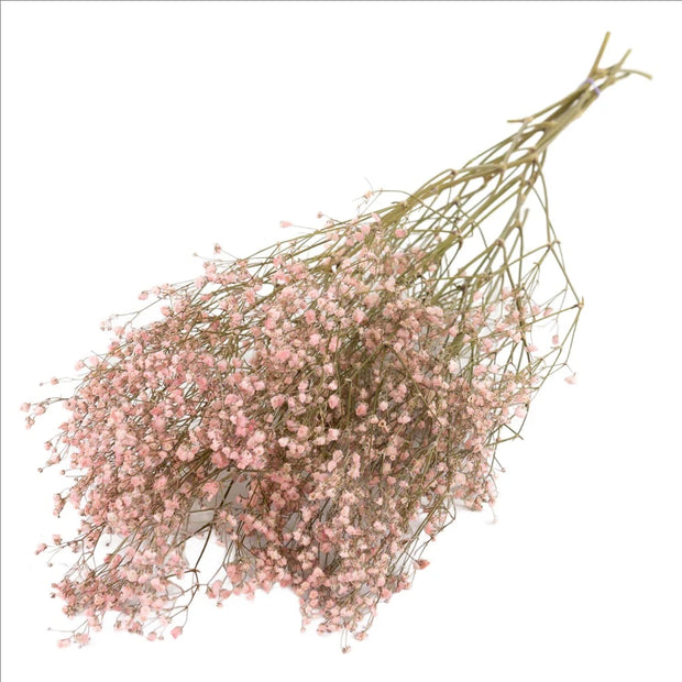 Dried Natural Pink Pastel Gypsophila