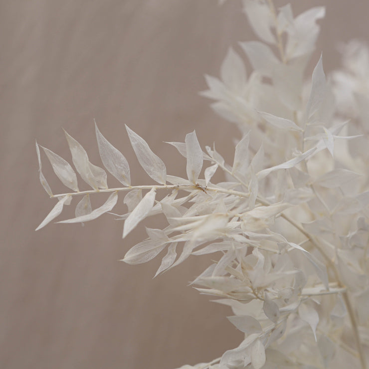 Dried Flowers White Bunches