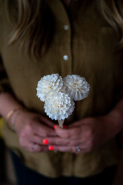 Natural Diffuser Flowers - Carnation On Reed