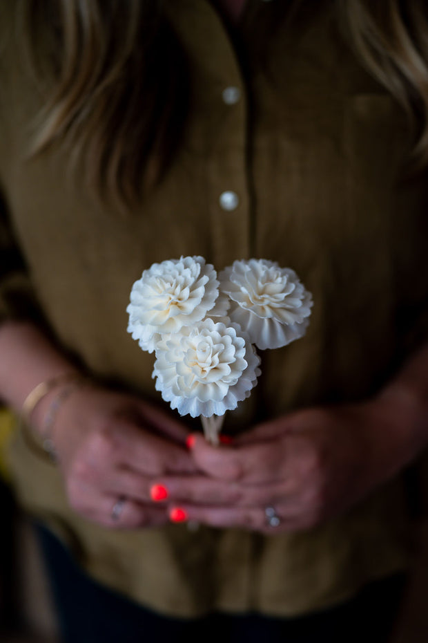 Natural Diffuser Flowers - Carnation On Reed