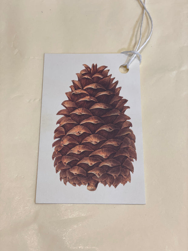 Gift Tag - Cone Design