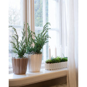 Ceramic Edna Pots with Scalloped Edge on mantle
