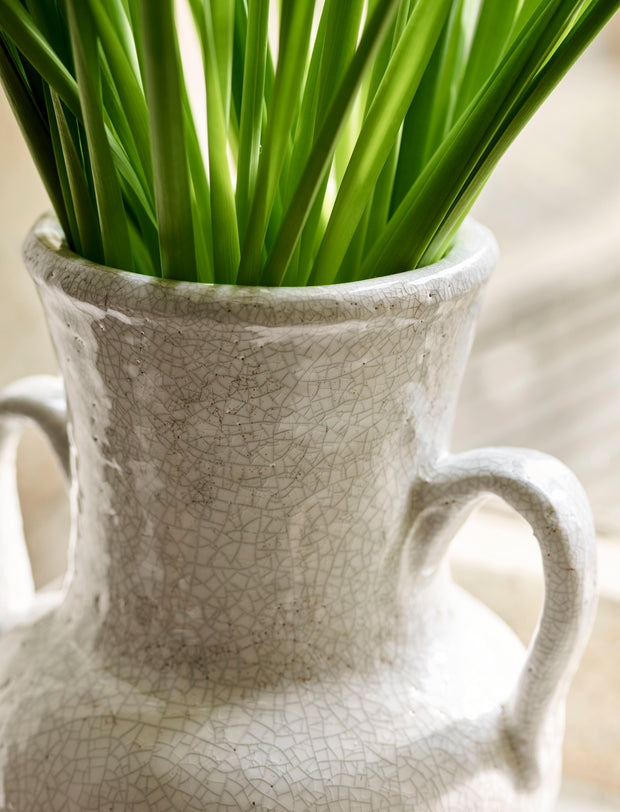 White textured vase with green plant on a light background