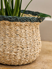 detail of Hayward Fluted Pot Seagrass in Rosemary