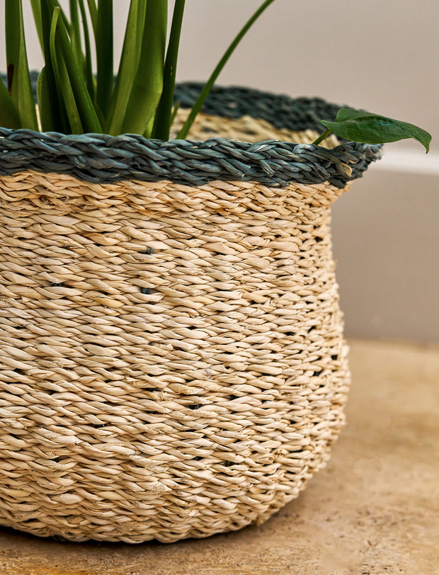 detail of Hayward Fluted Pot Seagrass in Rosemary
