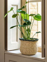 Hayward Fluted Pot Seagrass Rosemary