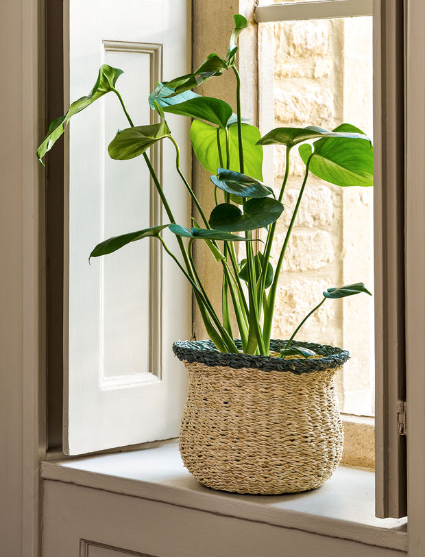 Hayward Fluted Pot Seagrass Rosemary