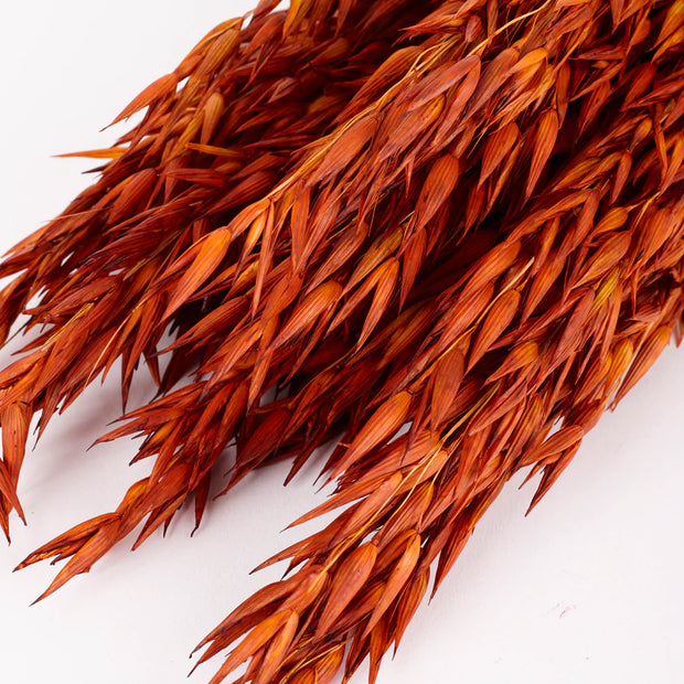 detail of Dried Teak Oats