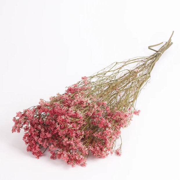 Limonium, Dried Natural Coral Pink Flowers - From victoria Shop