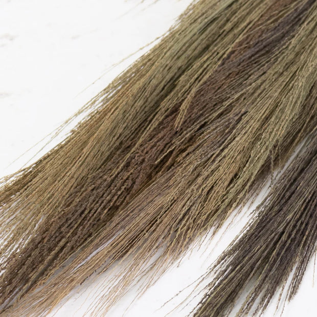 detail of Dried Natural Broom Grass