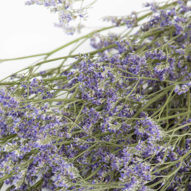 detail of Limonium, Dried Natural Purple