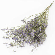 Limonium, Dried Natural Purple bunch