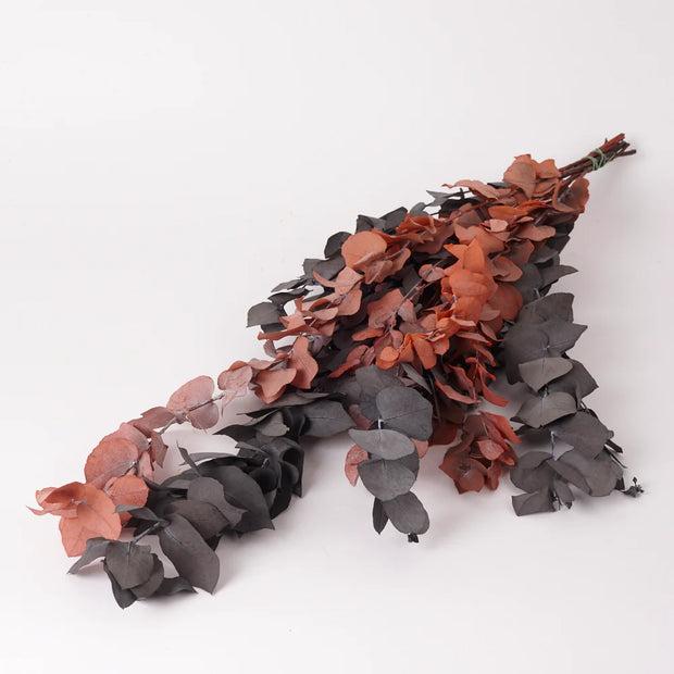 Preserved Eucalyptus Stuartiana foliage- Mixed Autumn Colours