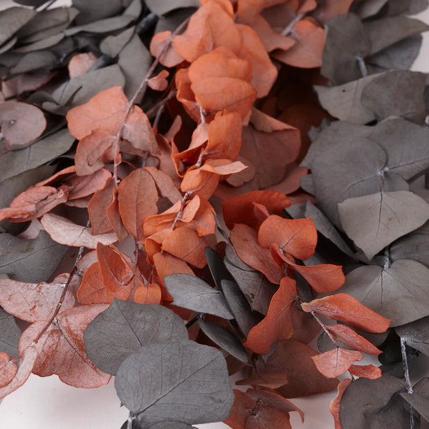 detail of Preserved Eucalyptus Stuartiana foliage- Mixed Autumn Colours