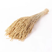 Dried Natural Rice