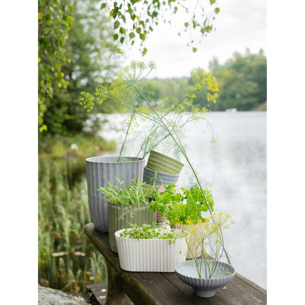 Collection of yodit recycled plastic potted plants on a wooden deck by a body of water.