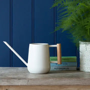 Indoor Watering Can with Wooden Handle- Stone