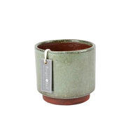 Malibu Medium Green Indoor Pot