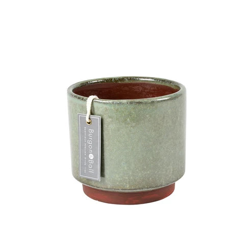 Malibu Medium Green Indoor Pot