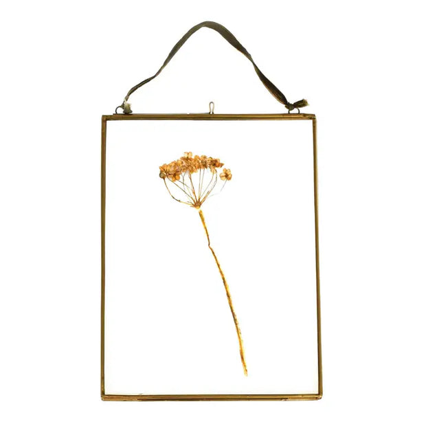 Gold-framed picture with a dried flower on a white background
