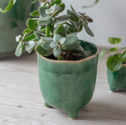 Positano Plant pot with feet - From Victoria Shop