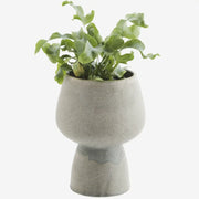 Grey Green Stoneware Flower pot with plant 