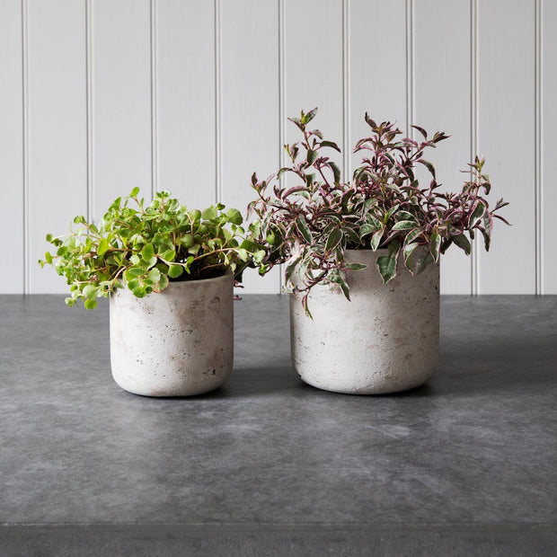 Small Stratton Straight Plant Pot in Stone