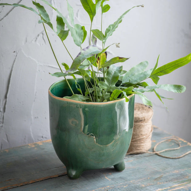 Extra Large 20cm Green Positano Plant Pot with house plant