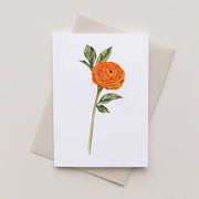 Mini Ranunculus Watercolour Greeting Card - from victoria shop