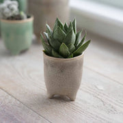 Mini Positano Stone Plant Pot